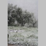 ... in eine Winterlandschaft ... ... in eine Winterlandschaft ...